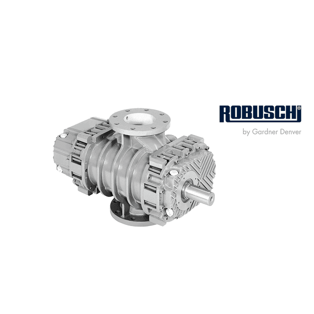 RBS Robuschi